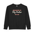 Promoted to Big Sister Toddler Sweatshirt, Pregnancy Announcement Crewneck
