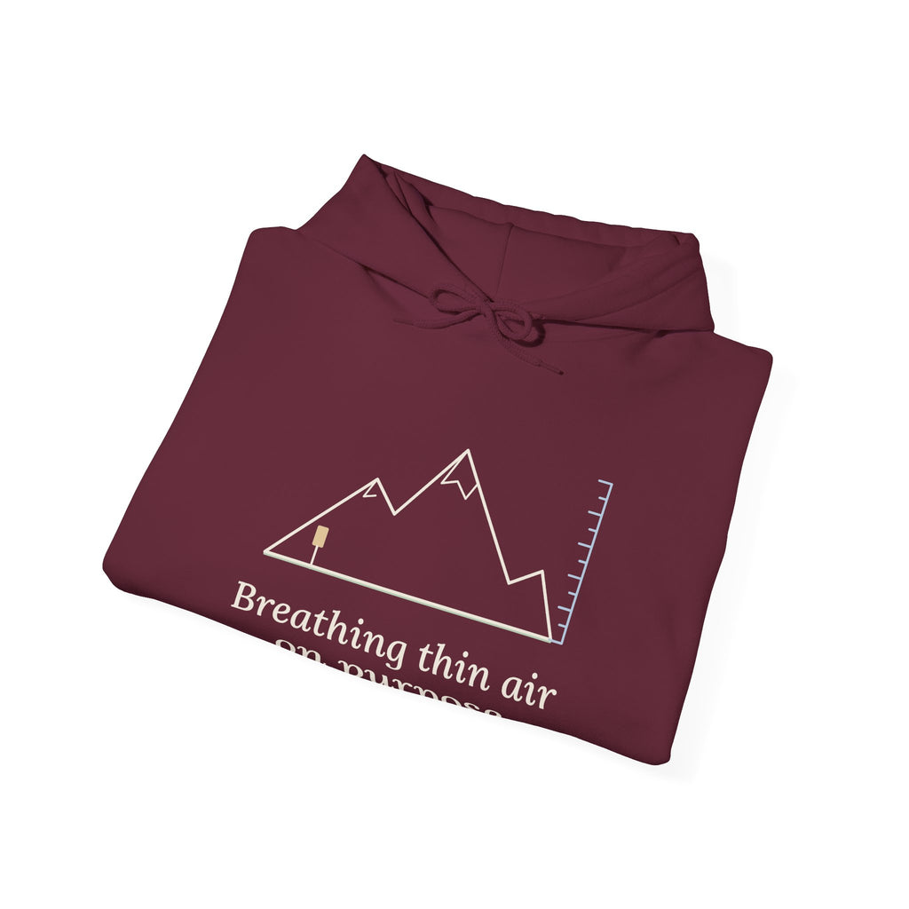 Colorado Hiking Hoodie - Breathing Thin Air on Purpose Mountain Hooded Sweatshirt