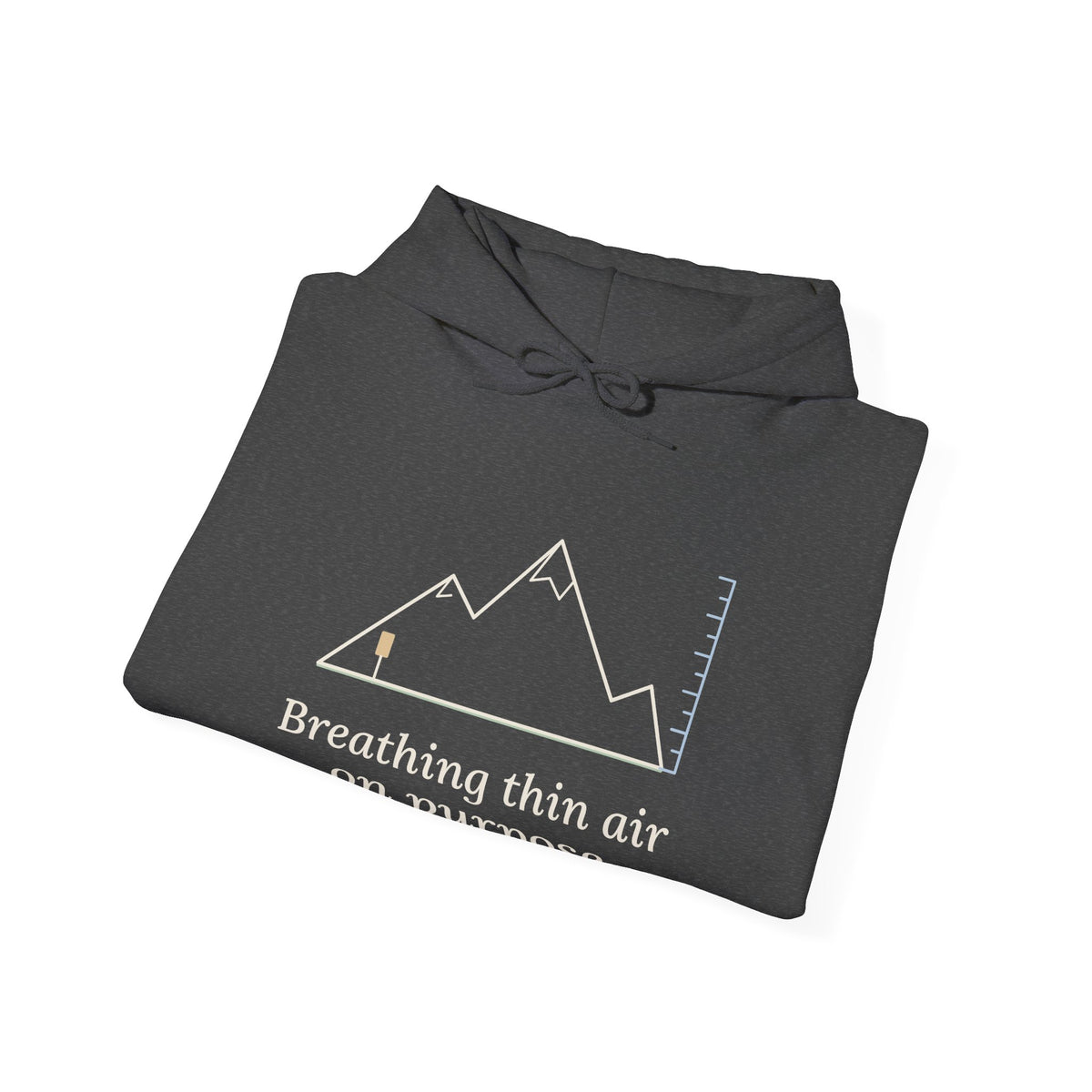 Colorado Hiking Hoodie - Breathing Thin Air on Purpose Mountain Hooded Sweatshirt