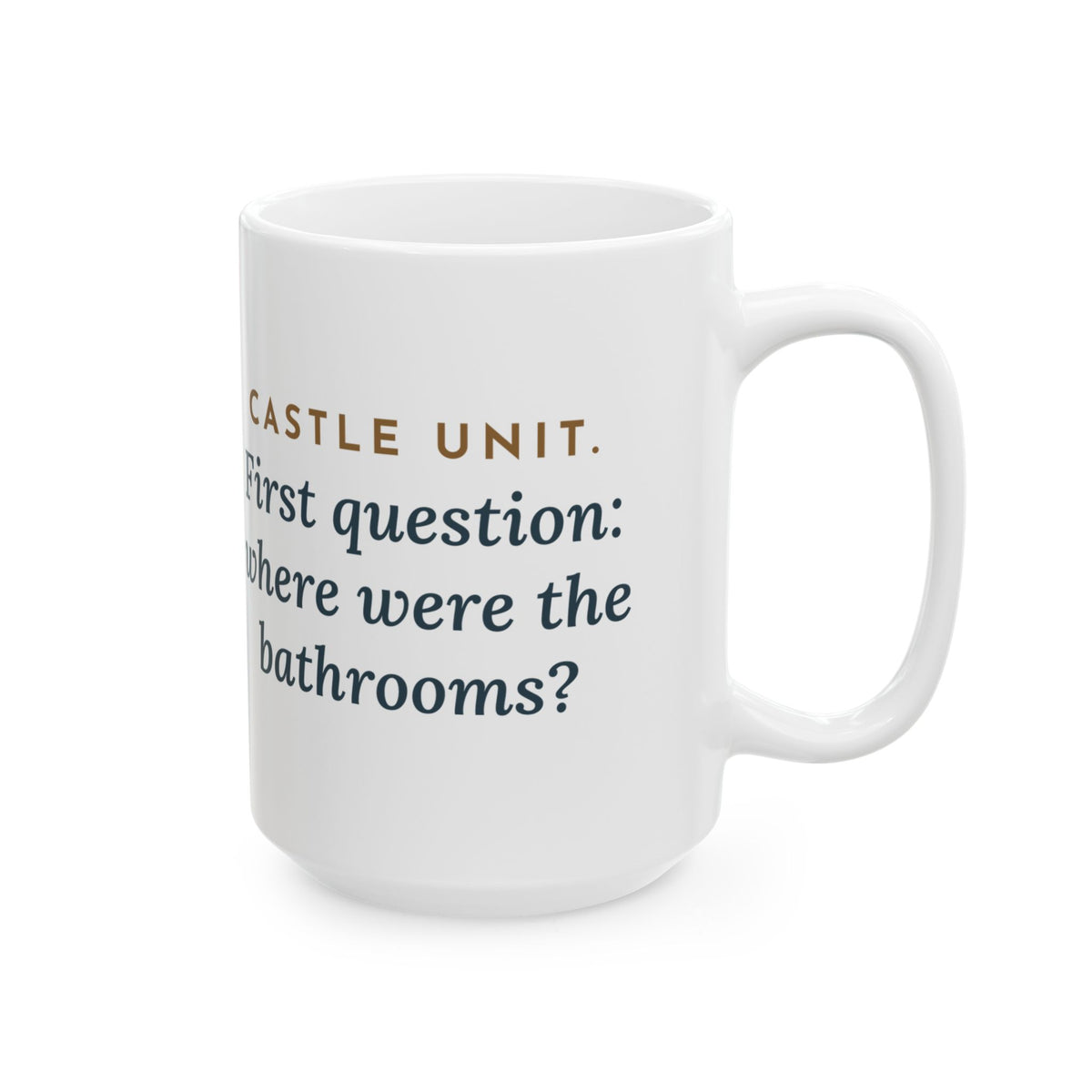 Large 15oz World History Teacher Mug - Castle Unit First Question