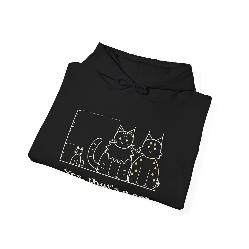 Maine Coon Hoodie - Yes, That's a Cat Hooded Sweatshirt for Cat Lovers