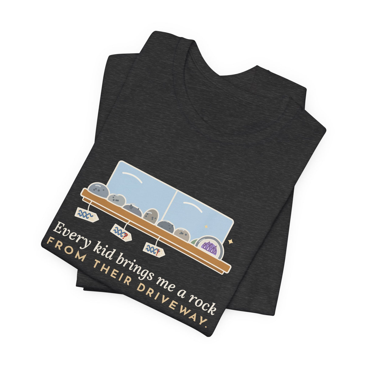 Earth Science Teacher T-Shirt - Every Kid Brings Me a Rock From Their Driveway Geology Tee