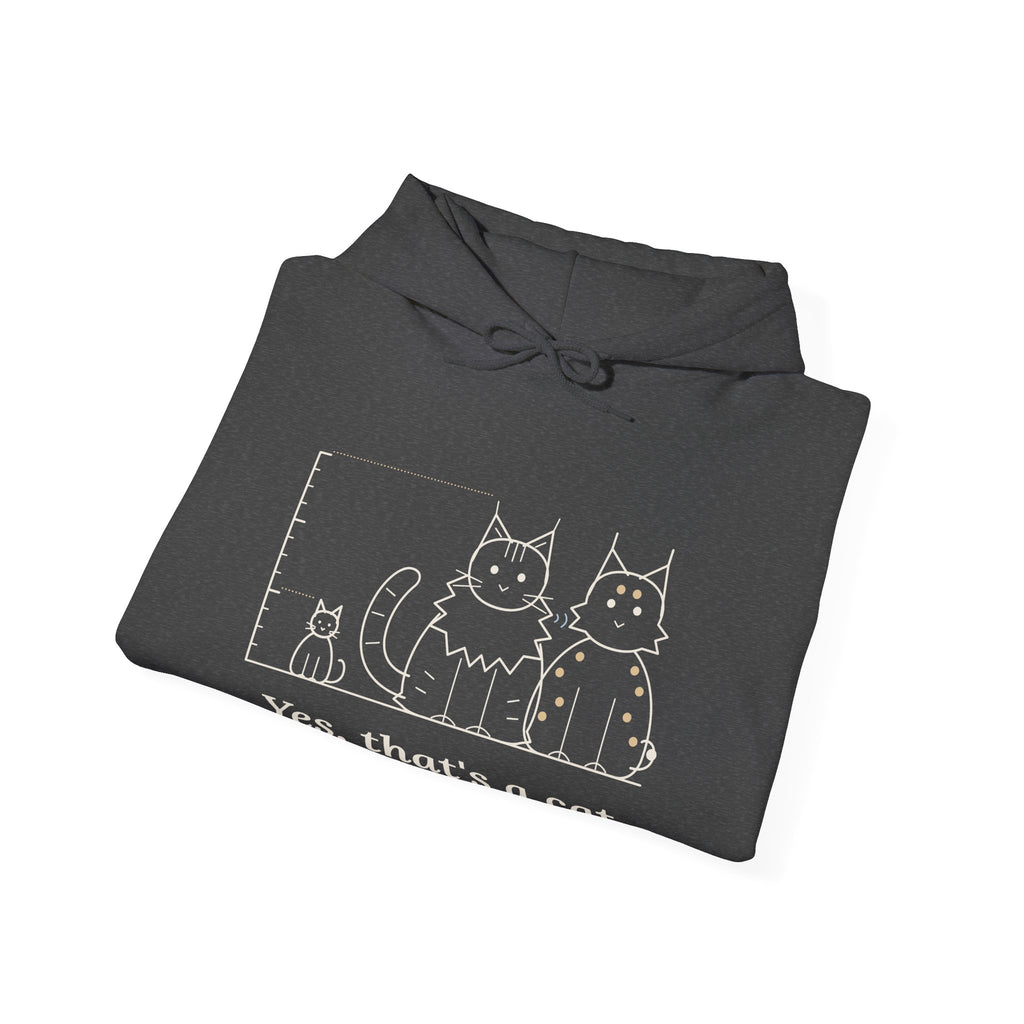Maine Coon Hoodie - Yes, That's a Cat Hooded Sweatshirt for Cat Lovers