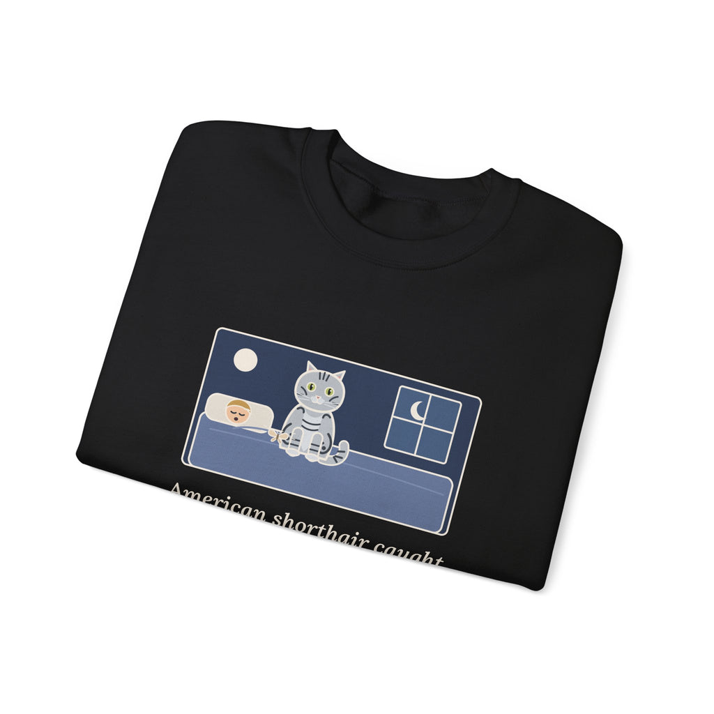 American Shorthair Crewneck Sweatshirt - The 2 a.m. Moth Delivery, Silver Tabby Cat