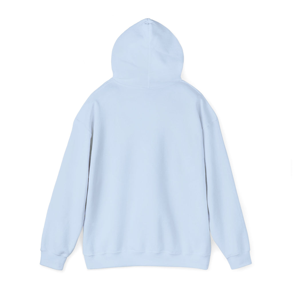 Vet Tech Hoodie - Holding Paws, Holding Steady Veterinary Technician Hooded Sweatshirt