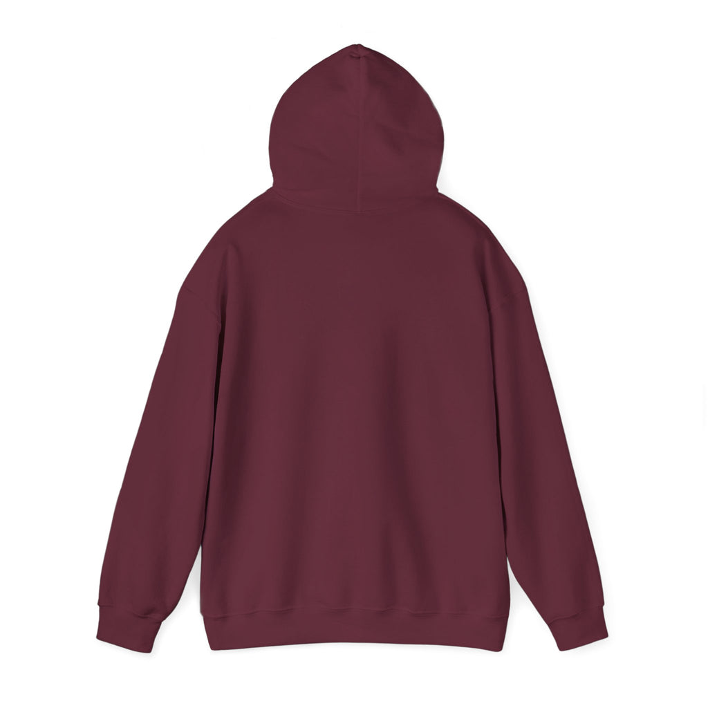 Gravel Cycling Hoodie - The Route Said Mostly Paved. Funny Gravel Ride Hooded Sweatshirt