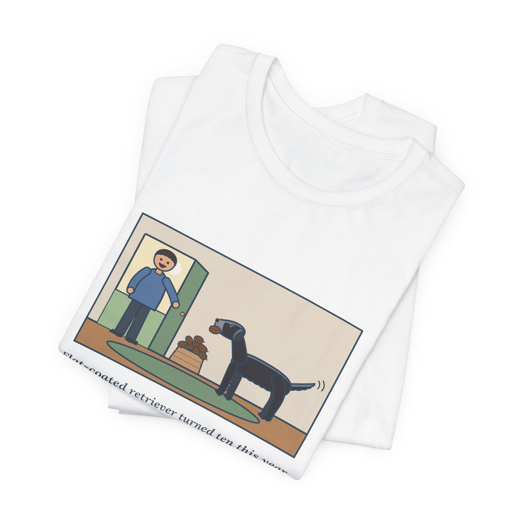 Funny Flat-Coated Retriever T-Shirt, Turned Ten This Year, Still Brings a Pinecone to the Door Every Time, Homecoming Tee