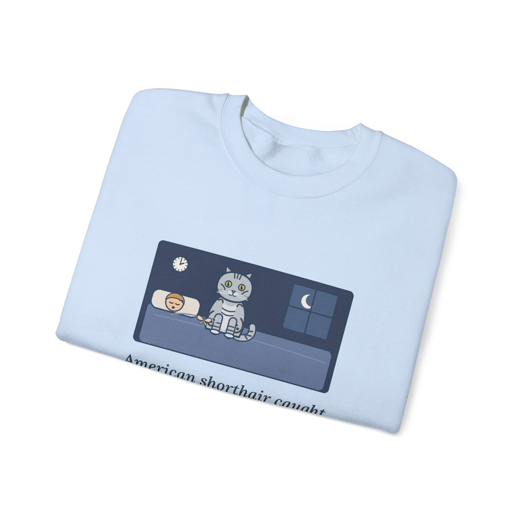 American Shorthair Crewneck Sweatshirt - The 2 a.m. Moth Delivery, Silver Tabby Cat