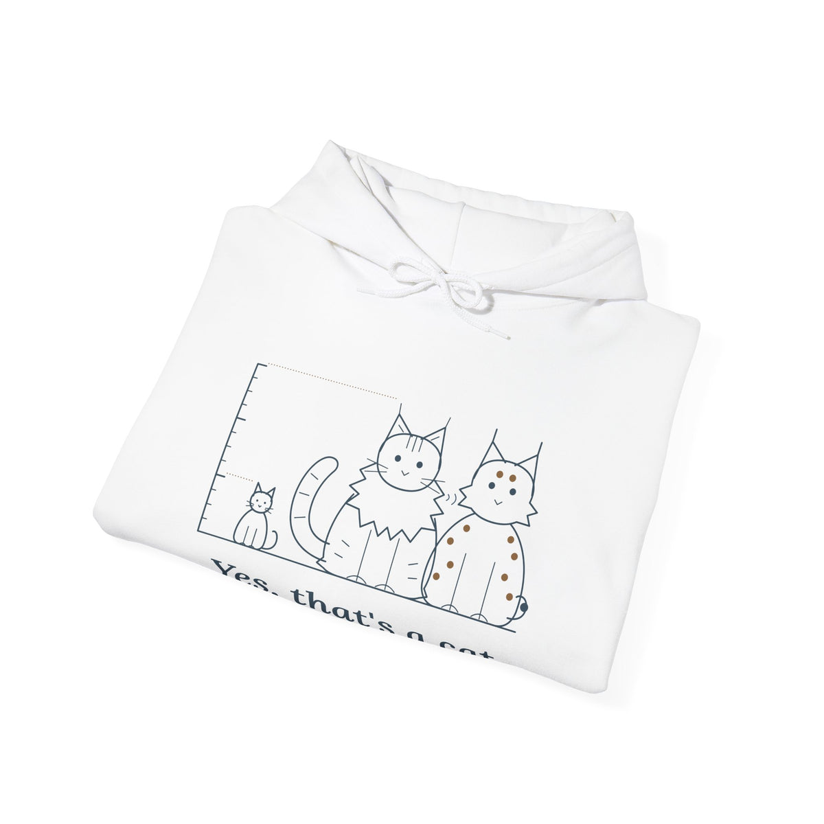 Maine Coon Hoodie - Yes, That's a Cat Hooded Sweatshirt for Cat Lovers
