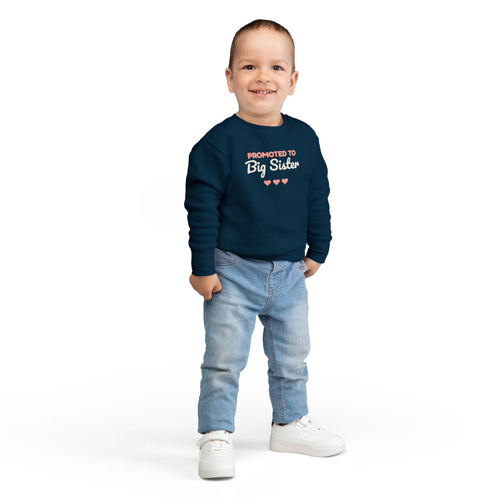 Promoted to Big Sister Toddler Sweatshirt, Pregnancy Announcement Crewneck