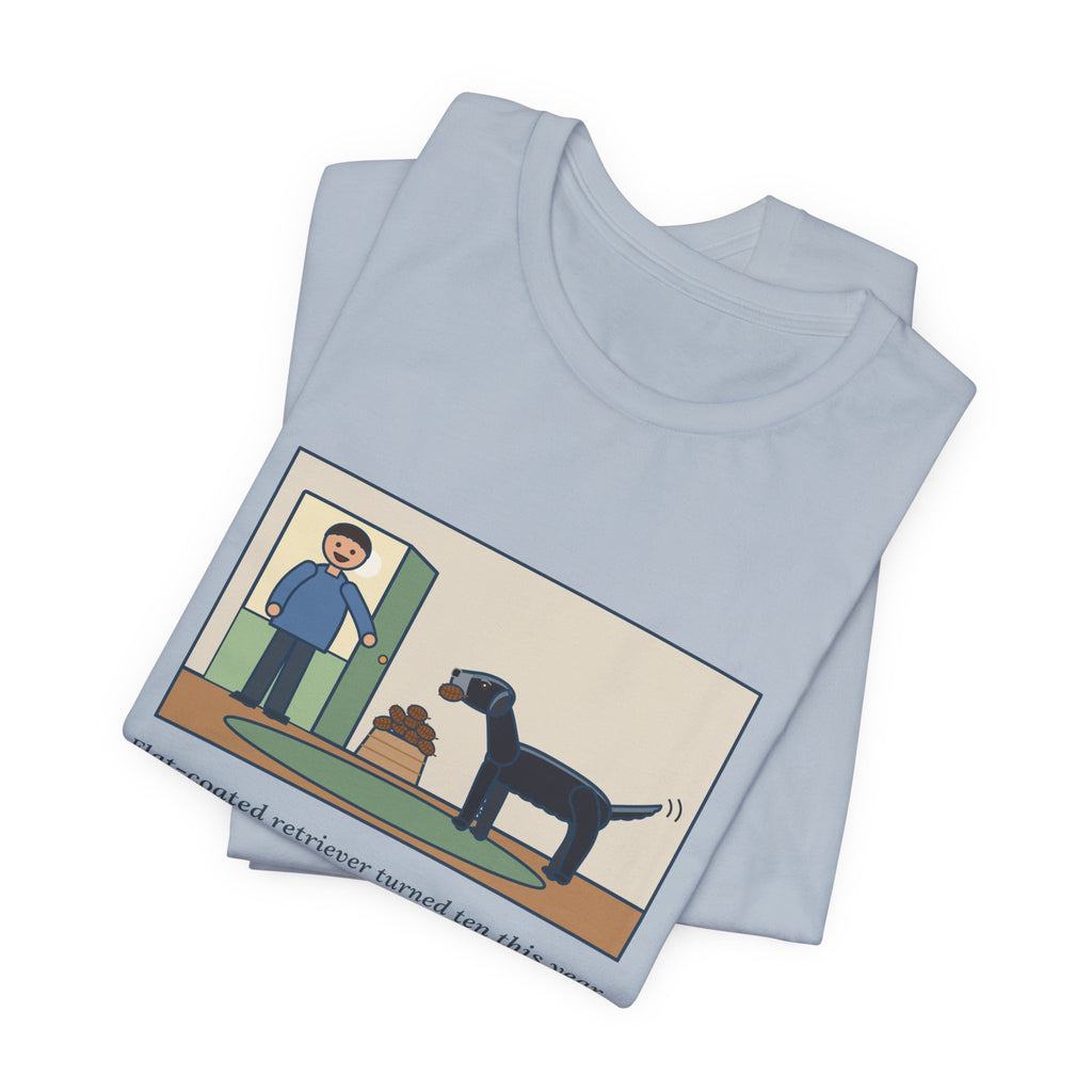 Funny Flat-Coated Retriever T-Shirt, Turned Ten This Year, Still Brings a Pinecone to the Door Every Time, Homecoming Tee
