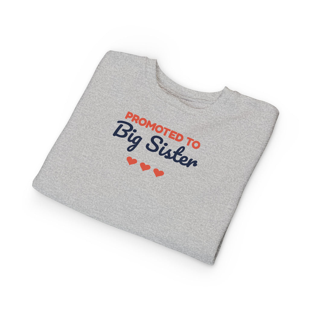 Promoted to Big Sister Toddler Sweatshirt, Pregnancy Announcement Crewneck