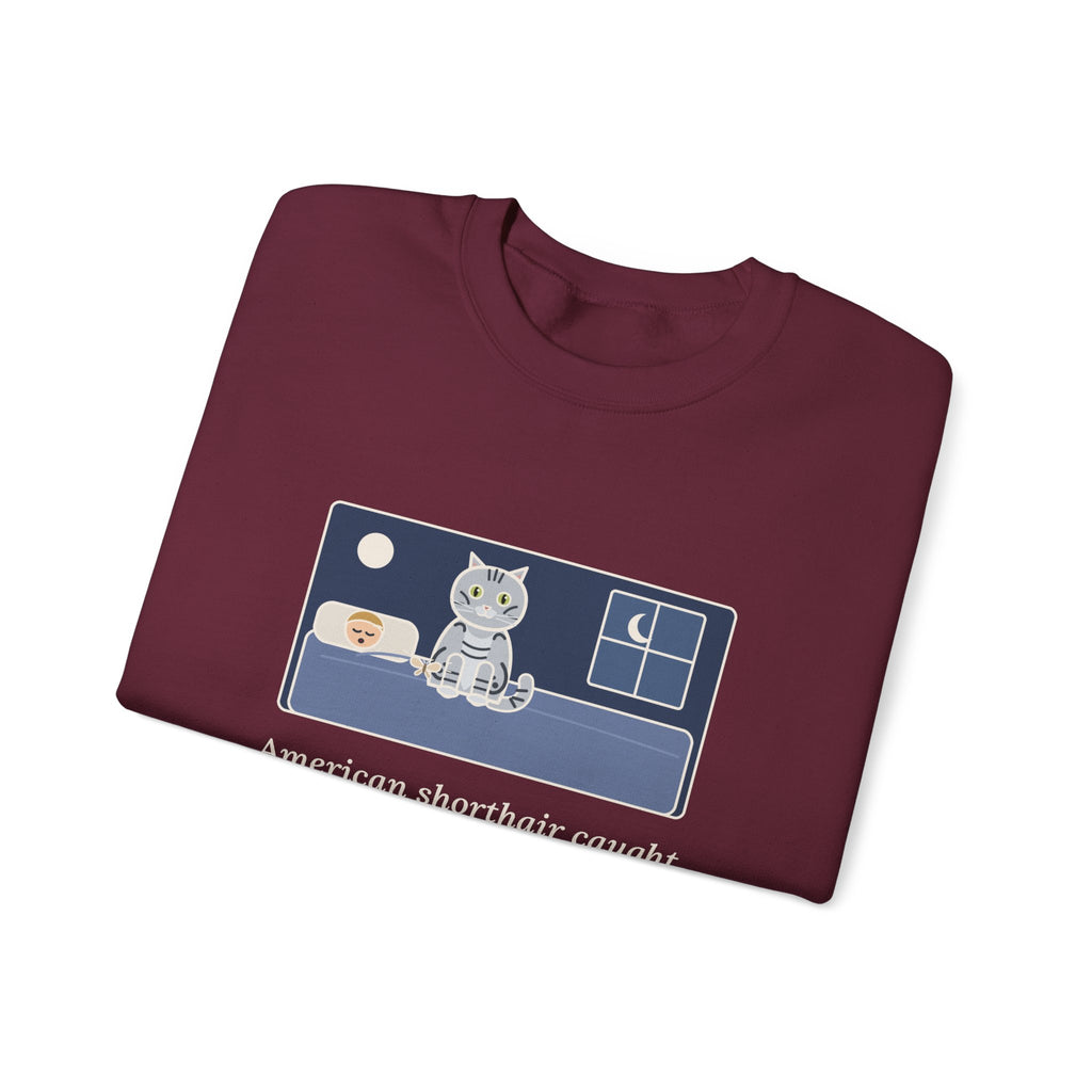 American Shorthair Crewneck Sweatshirt - The 2 a.m. Moth Delivery, Silver Tabby Cat