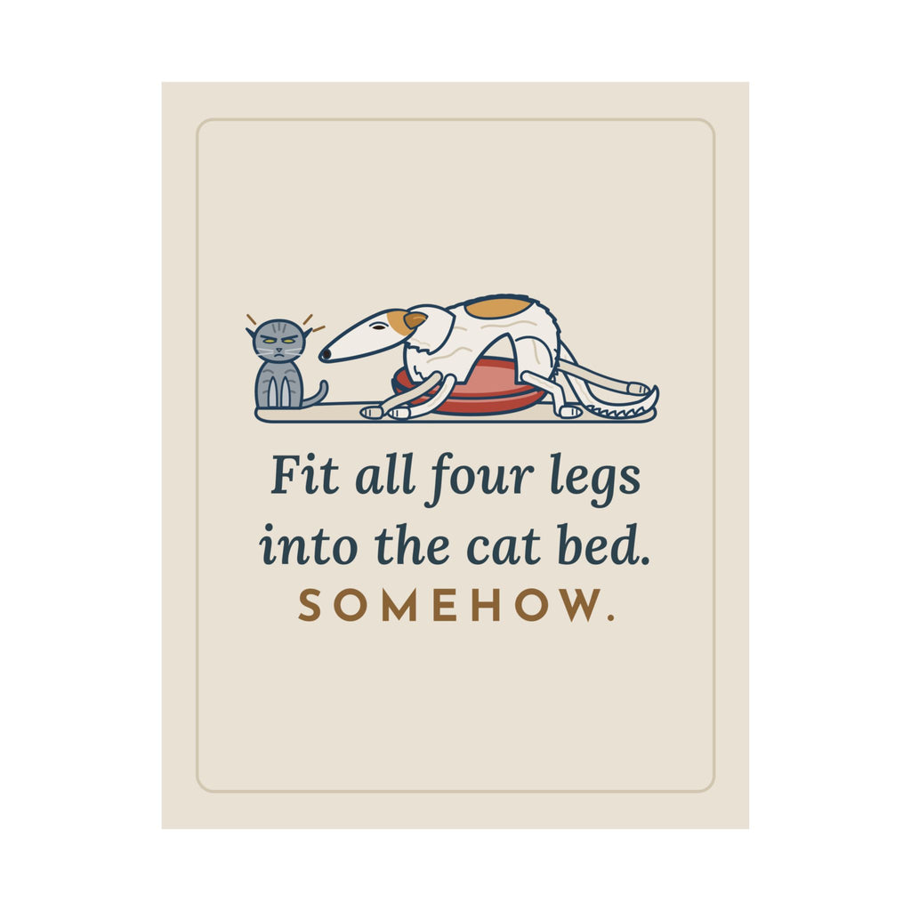 Borzoi Poster - Fit All Four Legs Into the Cat Bed. Somehow. Sighthound Wall Art Print
