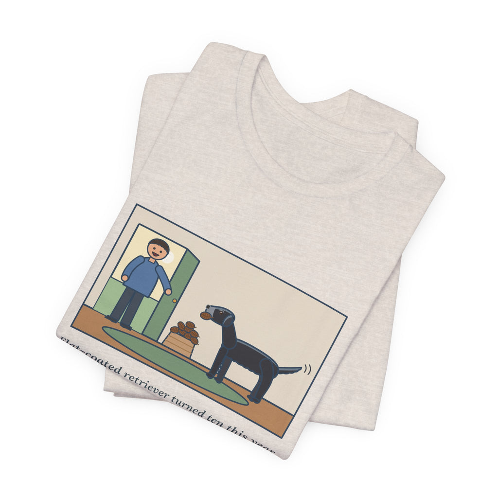 Funny Flat-Coated Retriever T-Shirt, Turned Ten This Year, Still Brings a Pinecone to the Door Every Time, Homecoming Tee