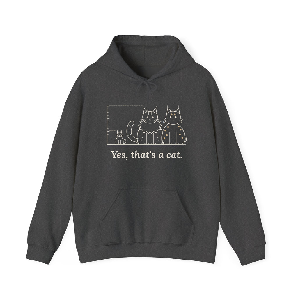 Maine Coon Hoodie - Yes, That's a Cat Hooded Sweatshirt for Cat Lovers