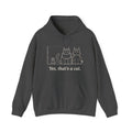 Maine Coon Hoodie - Yes, That's a Cat Hooded Sweatshirt for Cat Lovers