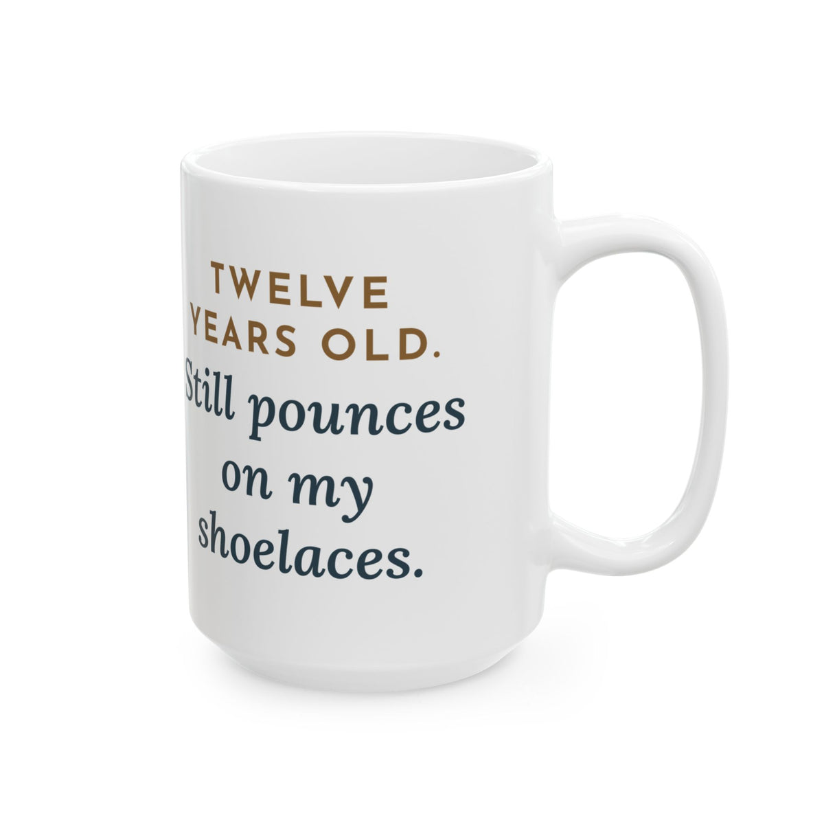 Large 15oz Burmilla Mug - Twelve and Still Pouncing Silver Senior Cat Gift