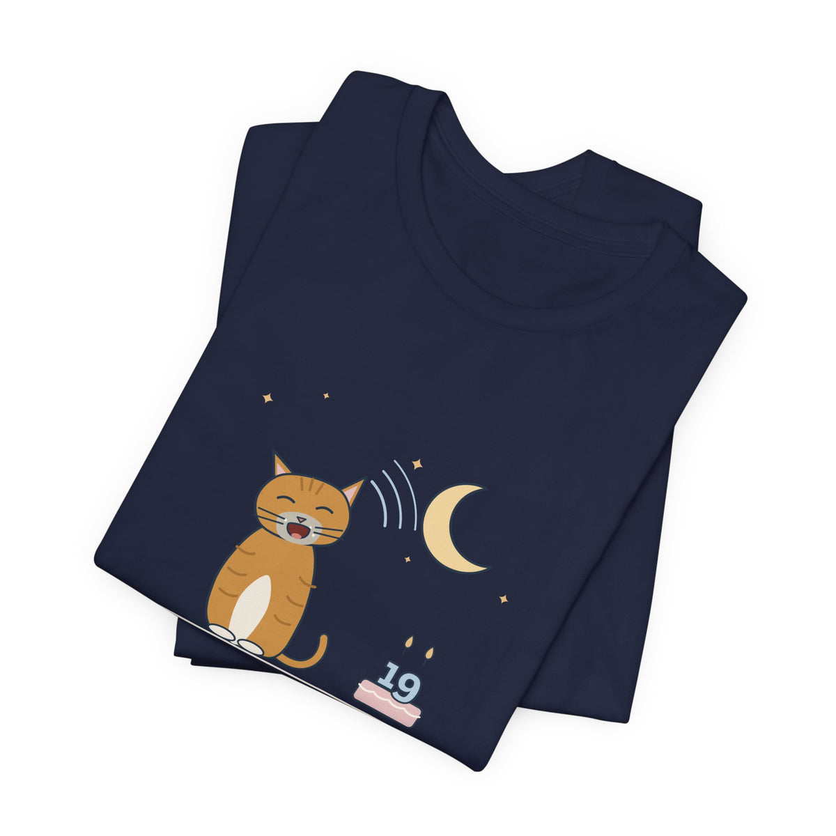 Senior Cat T-Shirt - Nineteen Years Old. Yells at 3 a.m. Earned It. Old Cat Tee