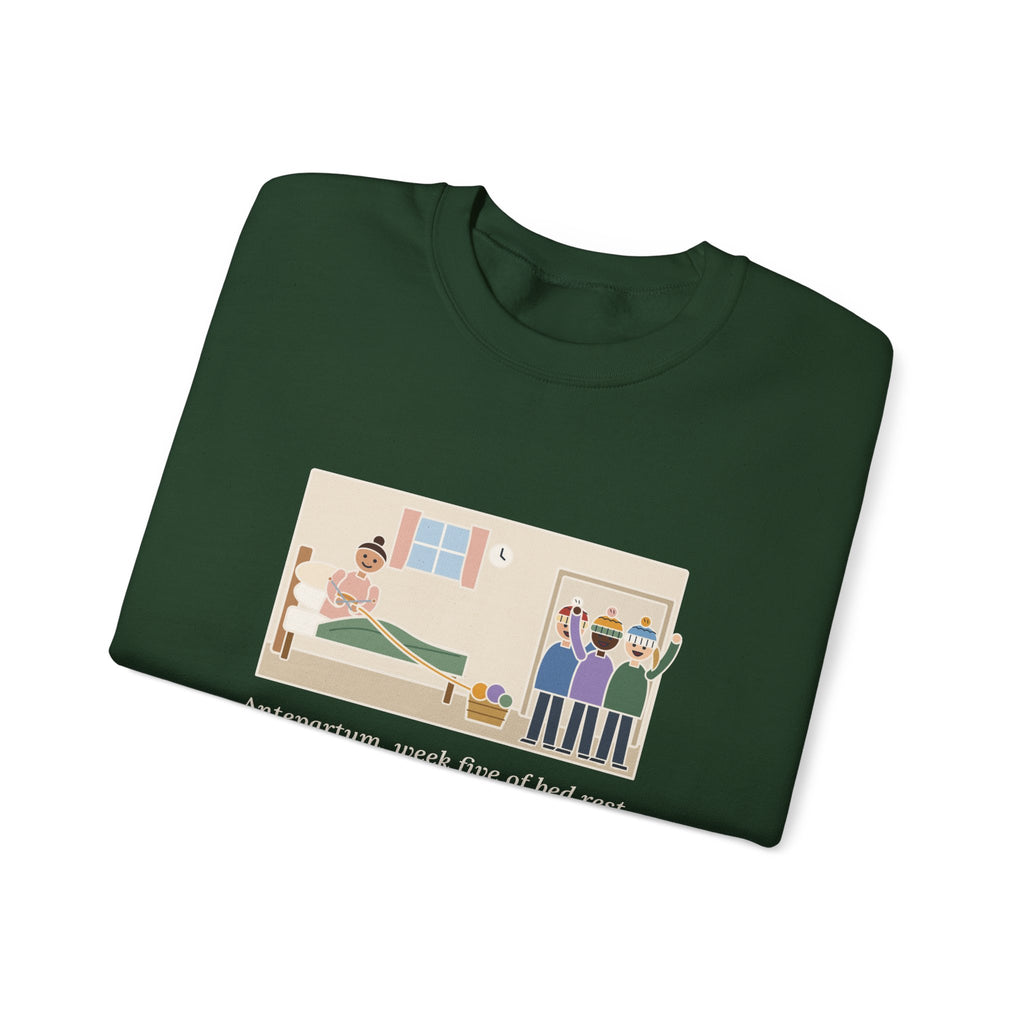 Antepartum Nurse Sweatshirt, Week Five of Bed Rest, She Knitted a Hat for Every Nurse on Day Shift, Funny Knitted Hats Crewneck
