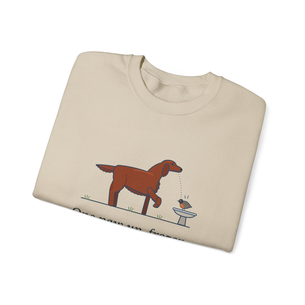 Irish Setter Crewneck Sweatshirt - One Paw Up, Frozen, A Robin Landed Dog Lover Gift