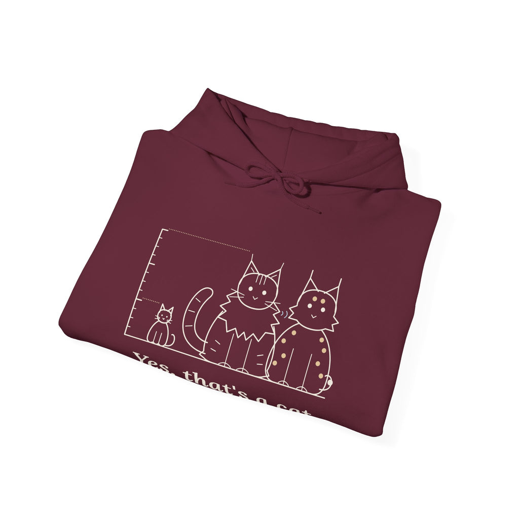 Maine Coon Hoodie - Yes, That's a Cat Hooded Sweatshirt for Cat Lovers
