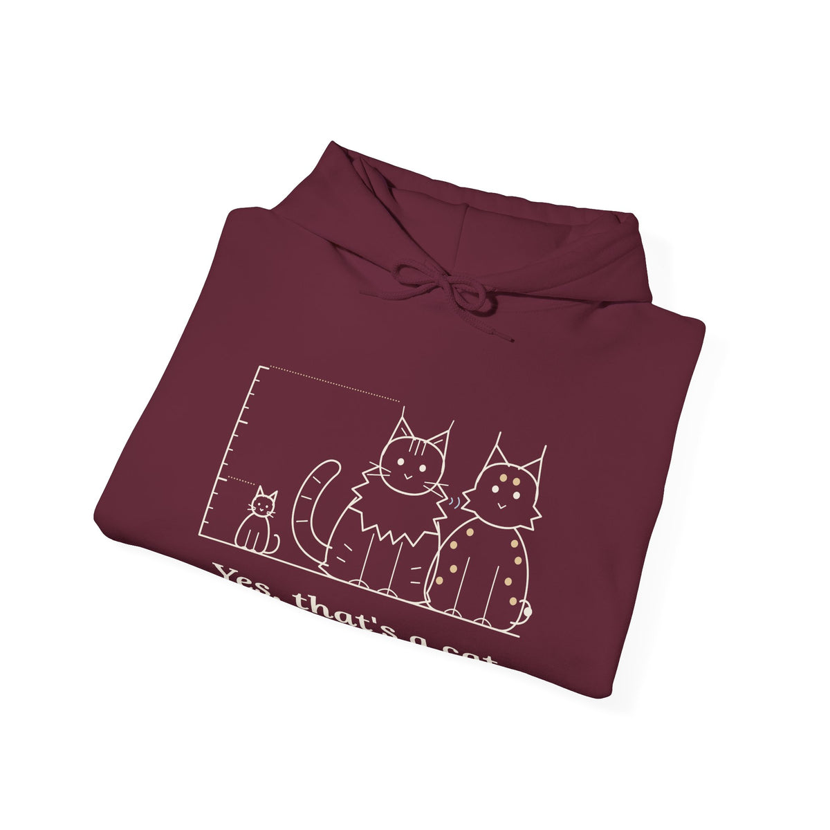 Maine Coon Hoodie - Yes, That's a Cat Hooded Sweatshirt for Cat Lovers