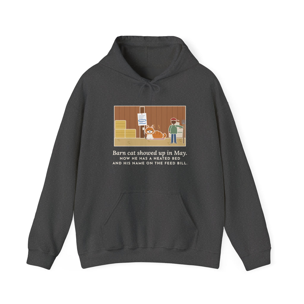 Funny Barn Cat Hoodie, Showed Up in May, Now He Has a Heated Bed and His Name on the Feed Bill