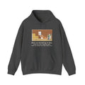 Funny Barn Cat Hoodie, Showed Up in May, Now He Has a Heated Bed and His Name on the Feed Bill