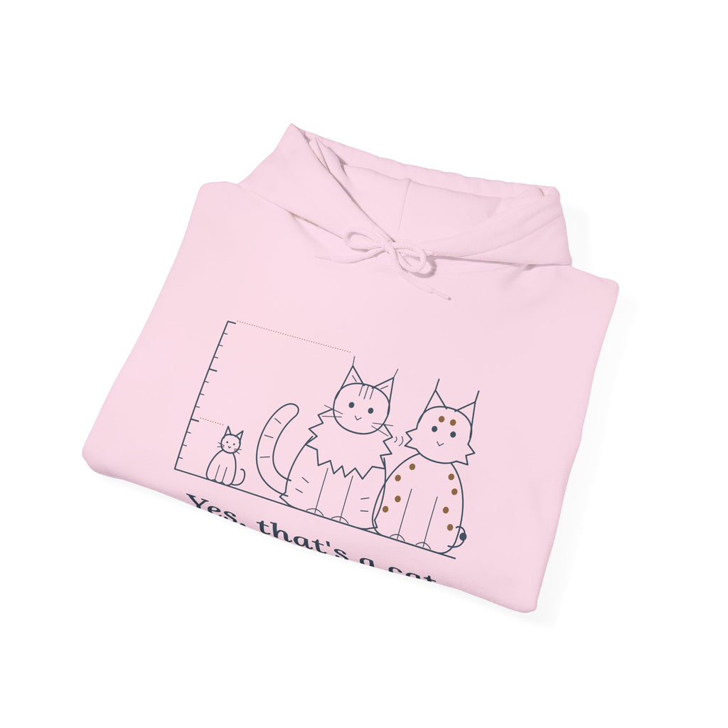 Maine Coon Hoodie - Yes, That's a Cat Hooded Sweatshirt for Cat Lovers