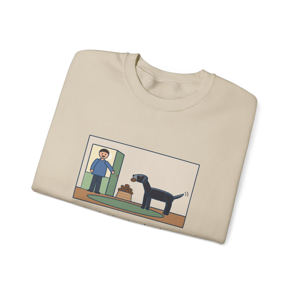 Flat-Coated Retriever Sweatshirt, Turned Ten This Year, Still Brings a Pinecone to the Door Every Time, Funny Homecoming Crewneck