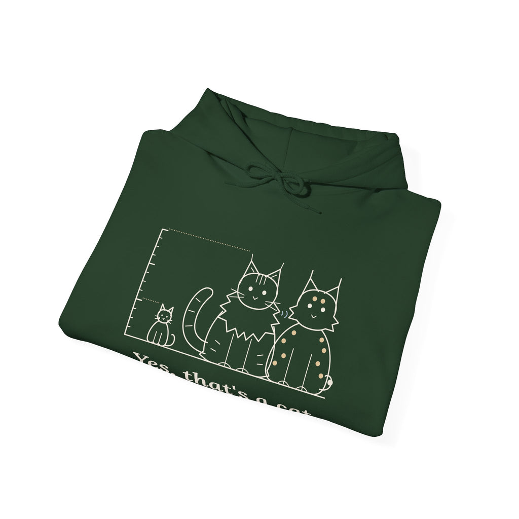 Maine Coon Hoodie - Yes, That's a Cat Hooded Sweatshirt for Cat Lovers