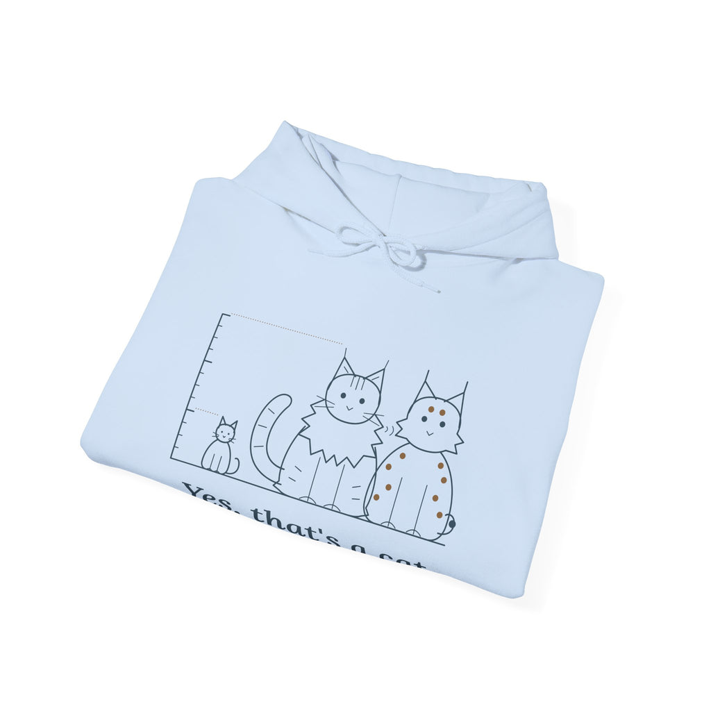 Maine Coon Hoodie - Yes, That's a Cat Hooded Sweatshirt for Cat Lovers