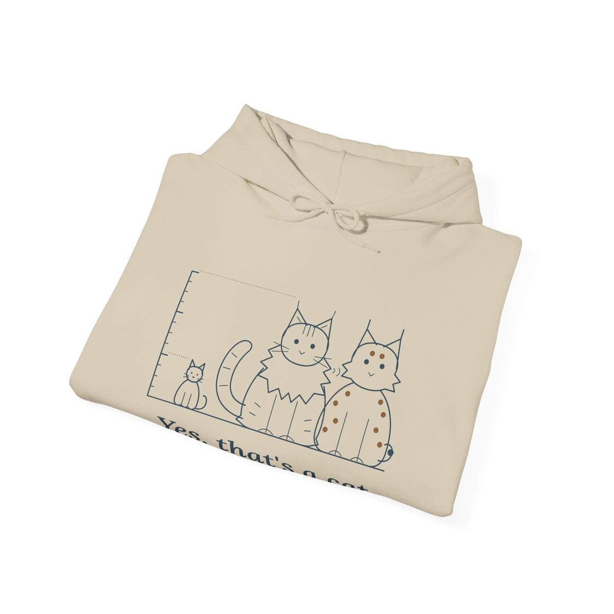 Maine Coon Hoodie - Yes, That's a Cat Hooded Sweatshirt for Cat Lovers