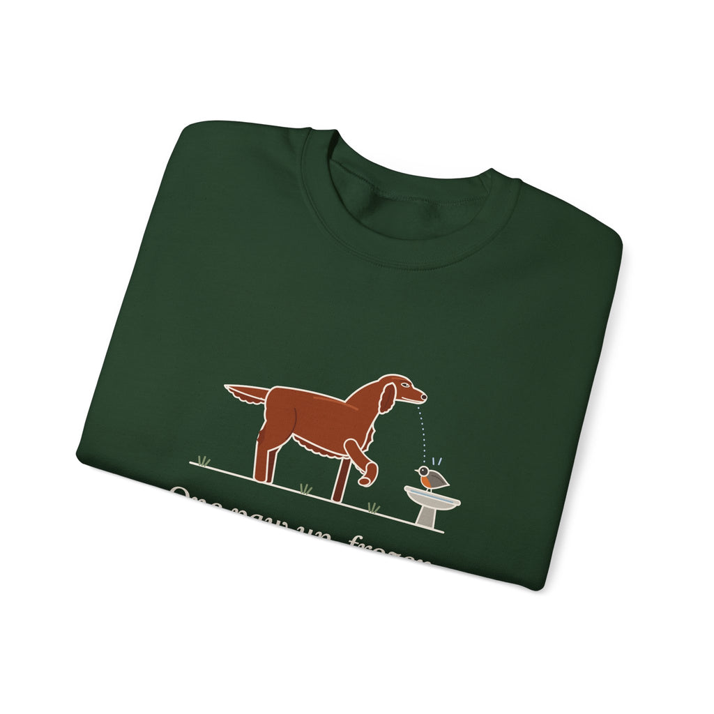 Irish Setter Crewneck Sweatshirt - One Paw Up, Frozen, A Robin Landed Dog Lover Gift