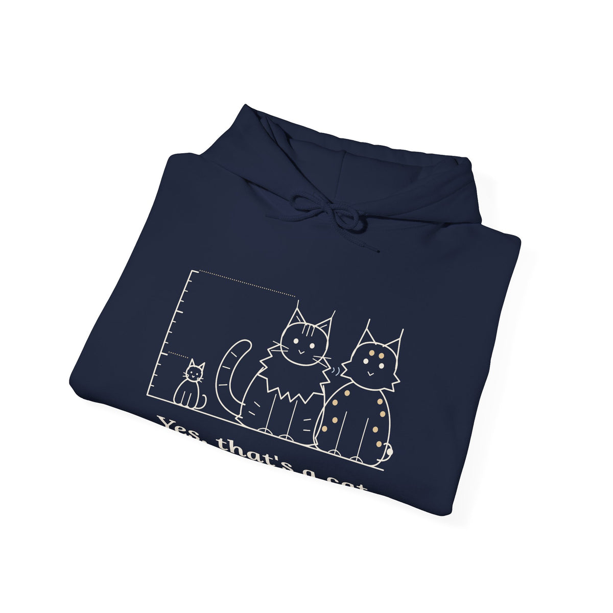 Maine Coon Hoodie - Yes, That's a Cat Hooded Sweatshirt for Cat Lovers