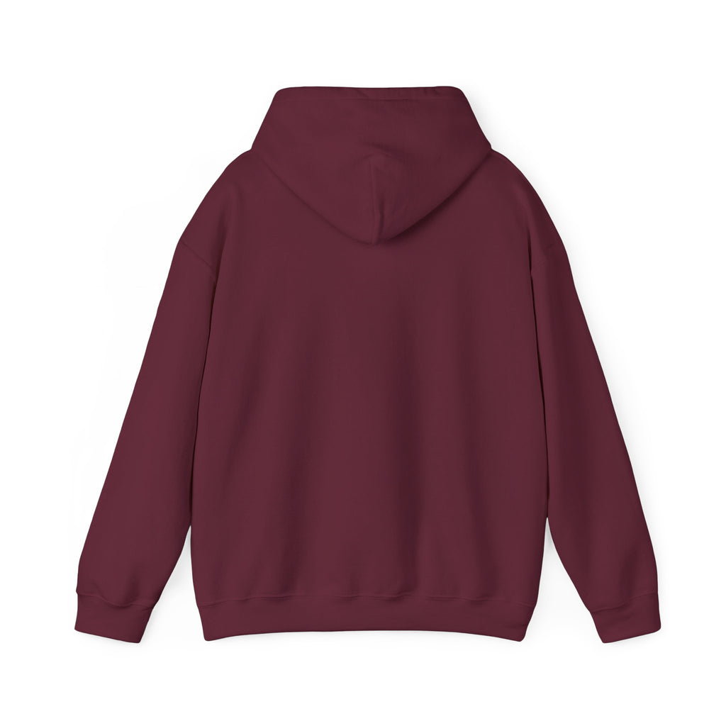 Maine Coon Hoodie - Yes, That's a Cat Hooded Sweatshirt for Cat Lovers