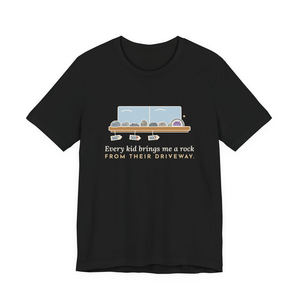 Earth Science Teacher T-Shirt - Every Kid Brings Me a Rock From Their Driveway Geology Tee