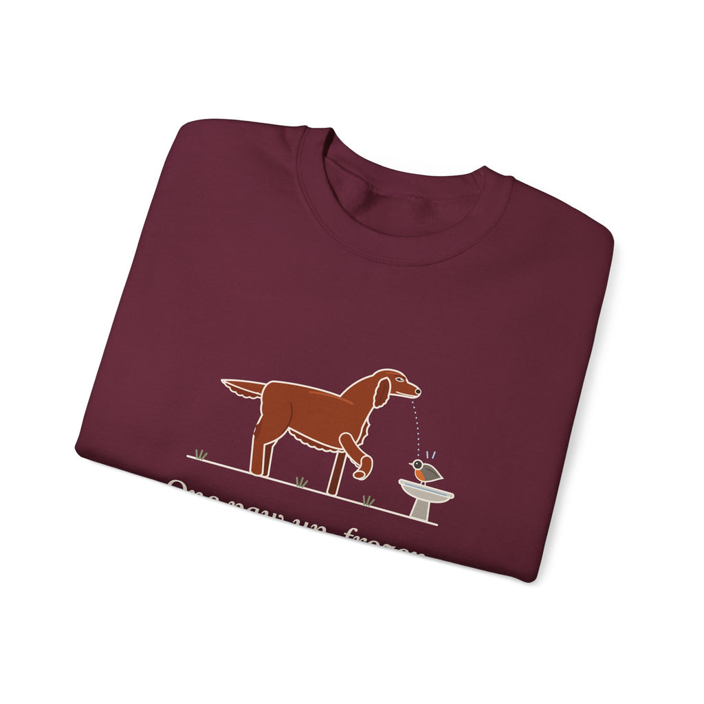 Irish Setter Crewneck Sweatshirt - One Paw Up, Frozen, A Robin Landed Dog Lover Gift