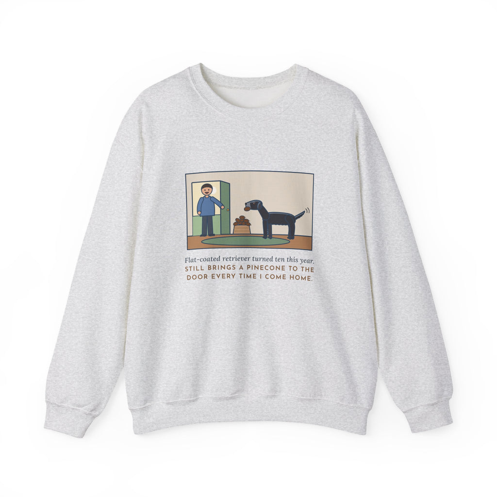 Flat-Coated Retriever Sweatshirt, Turned Ten This Year, Still Brings a Pinecone to the Door Every Time, Funny Homecoming Crewneck