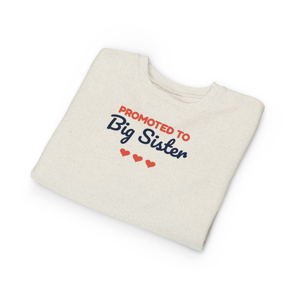 Promoted to Big Sister Toddler Sweatshirt, Pregnancy Announcement Crewneck