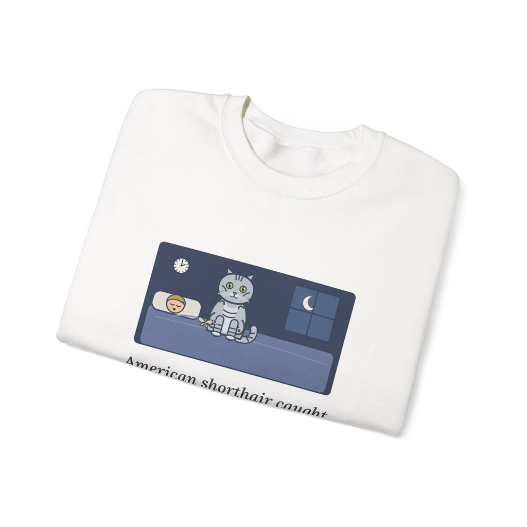 American Shorthair Crewneck Sweatshirt - The 2 a.m. Moth Delivery, Silver Tabby Cat