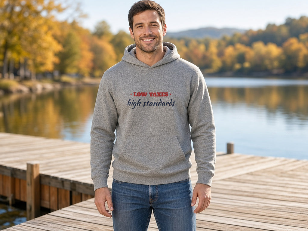 Low Taxes, High Standards Hoodie, Conservative Hoodie, lifestyle photo, Ash