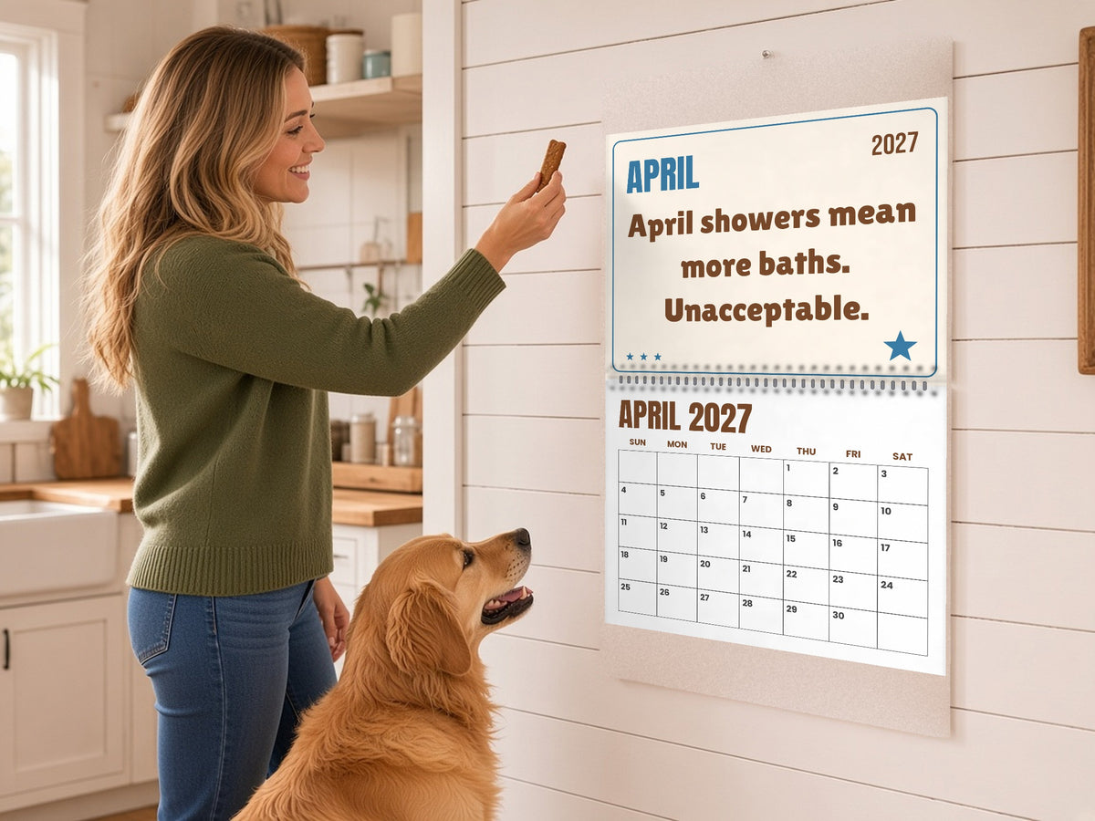 Funny Dog Wall Calendar 2027 - Dog Logic, Month by Month, lifestyle photo 2