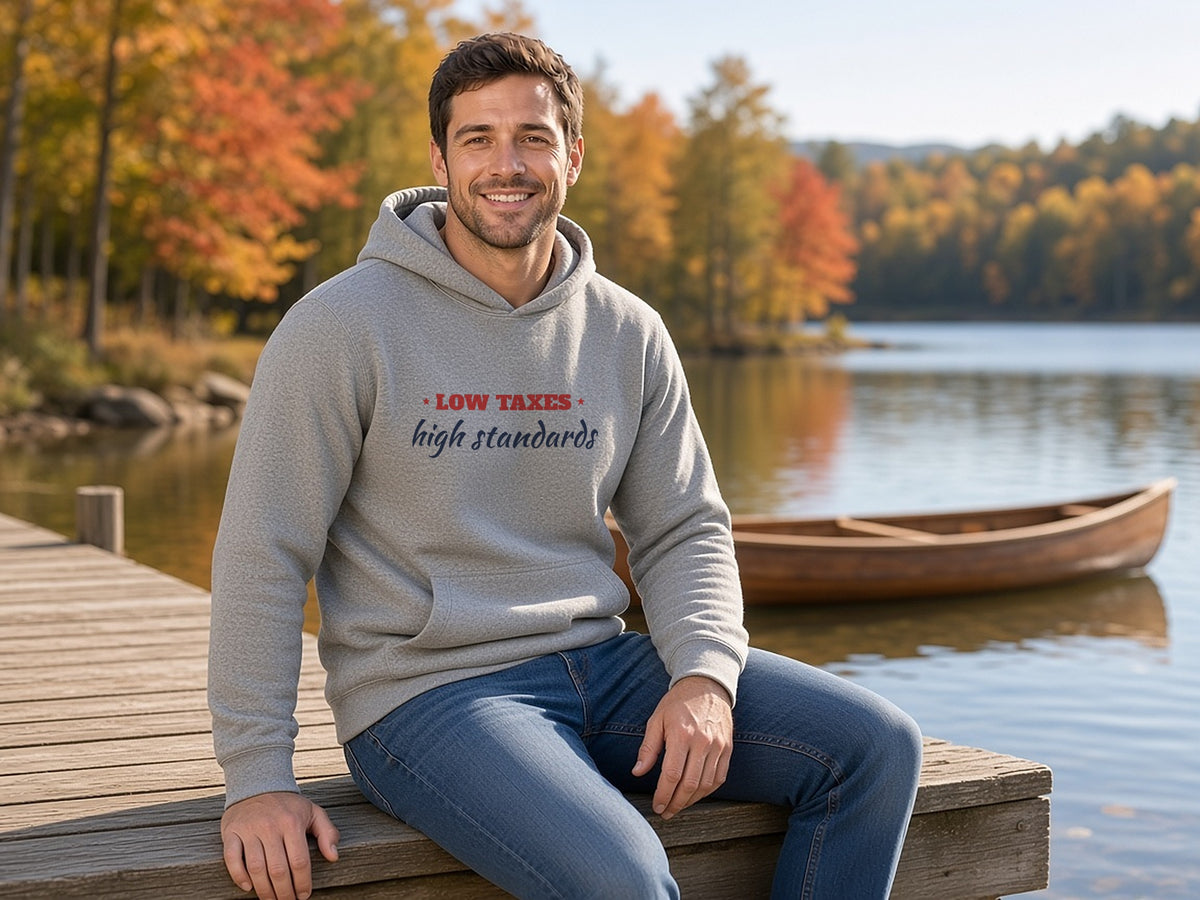 Low Taxes, High Standards Hoodie, Conservative Hoodie, lifestyle photo, Ash